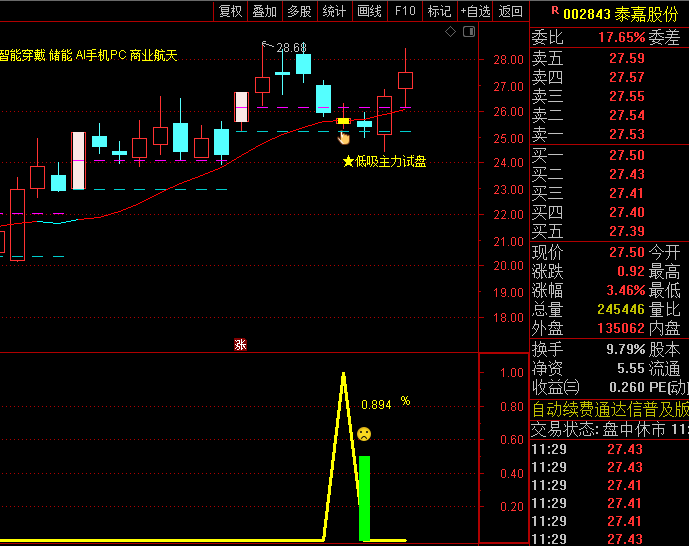 【低吸主力试盘】主图/副图/选股指标,巧妙利用主力试盘回调特性,精准定位低吸点!