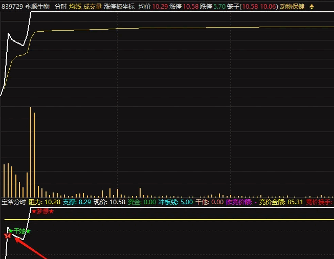 通达信【宝爷梦想分时超强版】分时副图指标,持续擒获主升浪,竞价资金驱动下的早盘涨停擒牛术!
