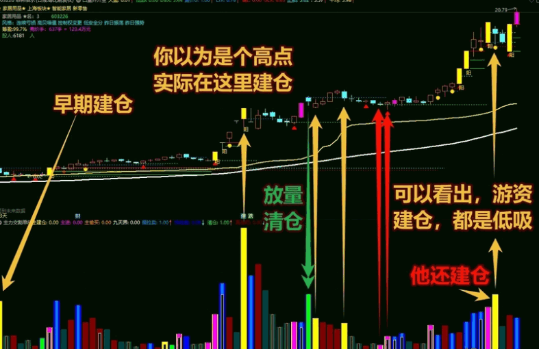 【主力交割单F】副图指标,揭示市场中主力行为特征,捕捉主力资金的运作轨迹!