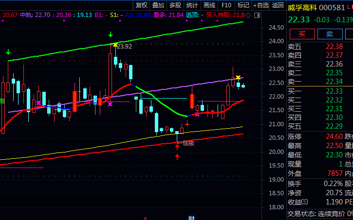 通达信〖高低点自动画线〗主图指标公式 当价格接近红色支撑线且出现低吸提示时 关注企稳机会
