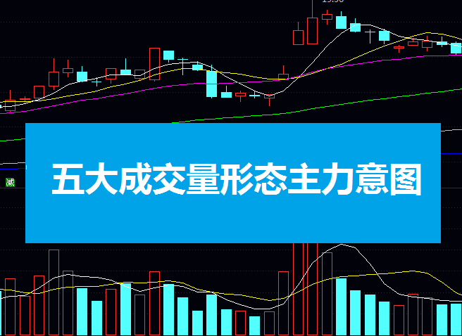 量价博弈:揭秘五大成交量形态背后的市场逻辑与主力意图