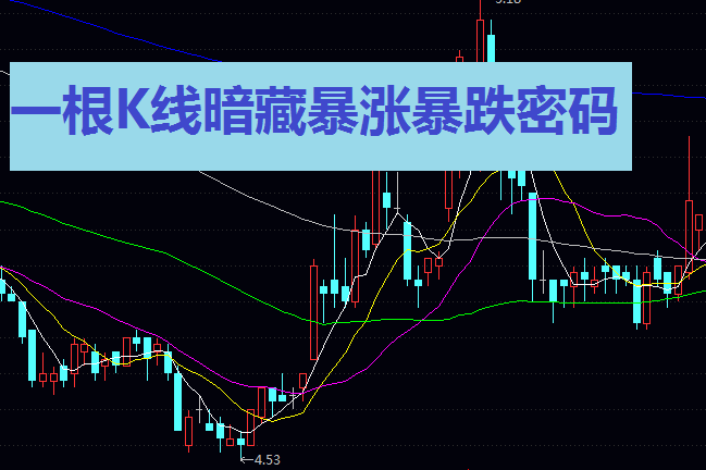 一根K线暗藏暴涨暴跌密码!资深玩家都在用的“反转信号”秘籍,看懂少亏50%!