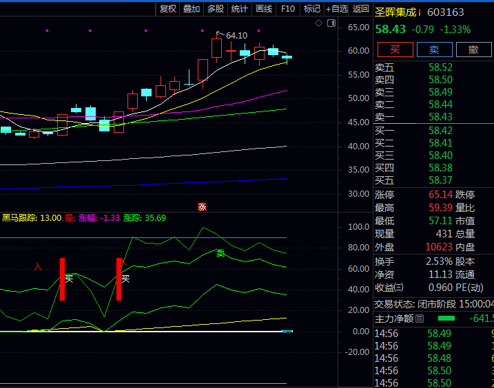 通达信〖黑马跟踪操盘〗公式 源码TN6文件分享